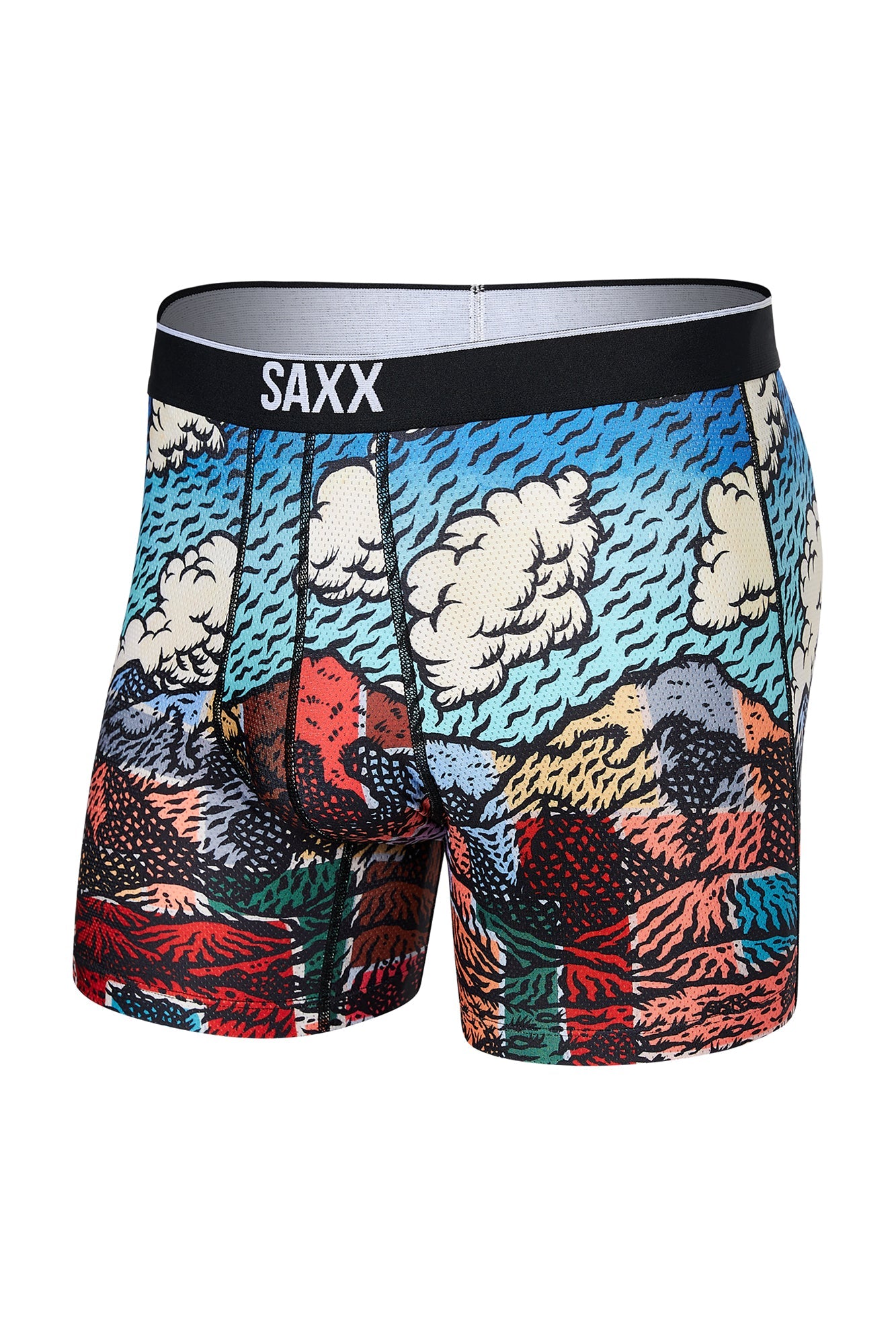 Boxer Saxx | SXBB29 DNR